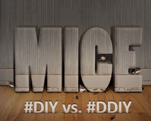 #diy vs #ddiy
