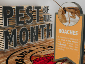 Pest of the Month: Roaches