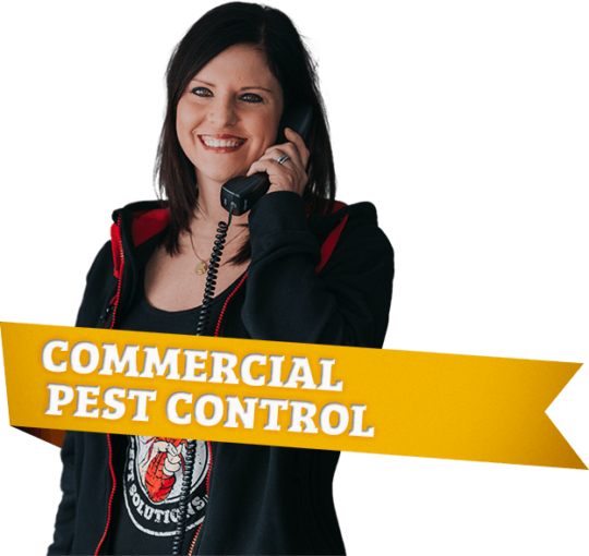 Town & Country Pest Rochester Pest Control Syracuse Pest Control