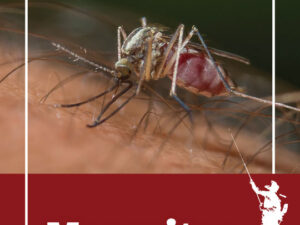 The Various Control Methods Used Against Mosquitoes