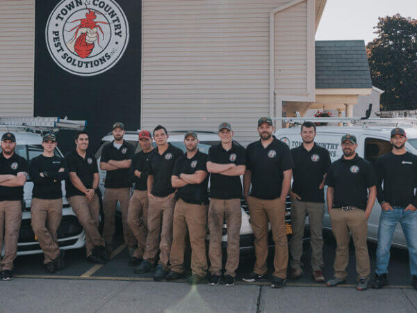 Rochester Wildlife Control: The Ultimate Guide to Keeping Your Property Safe and Critter-Free