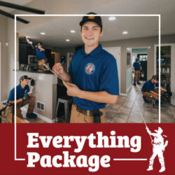 A Town & Country tech can do everything yellow jackets, hornets, wasps, stinging insects, stink bugs, box elder beetles, ants, carpenter ants, sweet ants, mice, town and country, town and country pest solutions, pest, pests, rochester, syracuse, buffalo, rochester ny, syracuse ny, buffalo ny, new york, western ny, rochester exterminators, syracuse exterminators, buffalo exterminators, bed bugs, fabry, matt fabry, extermination, hire the pros, friendly, trustworthy