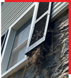 T&C_Website_Graphics_BirdService_FeatureImage