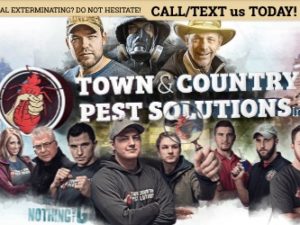 The Importance of Professional Pest Control Services in Rochester, NY